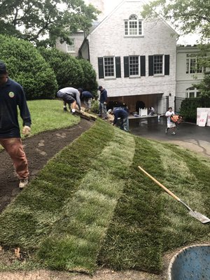 More recent job!!!! Sod installation services