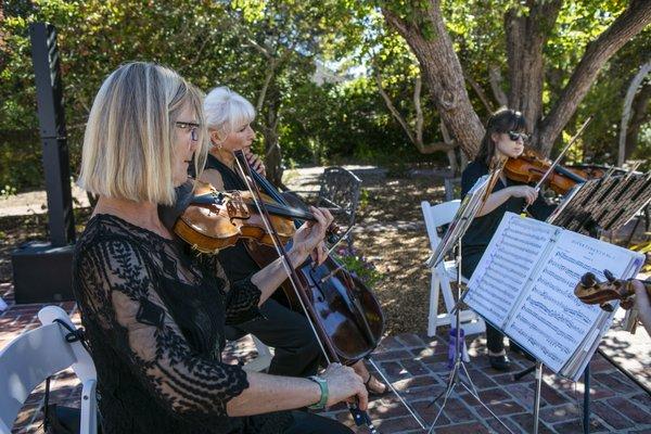 Rose Quartet