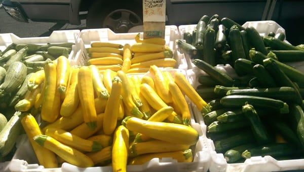 Yellow,summer squash and zuchinni