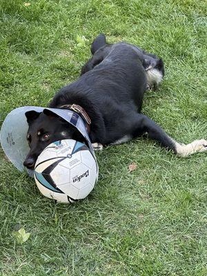 Riley's soccer ball