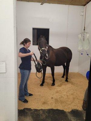 Woodside Equine Clinic