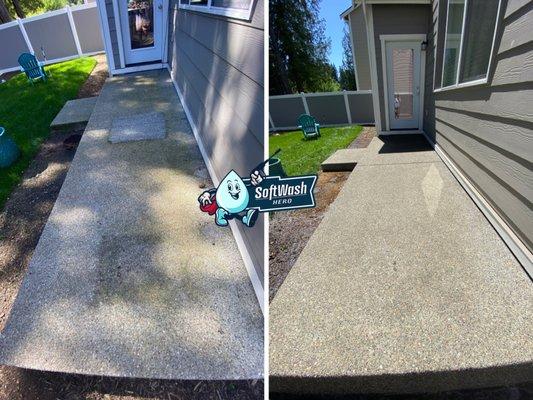 Patio Cleaning, from green to clean!