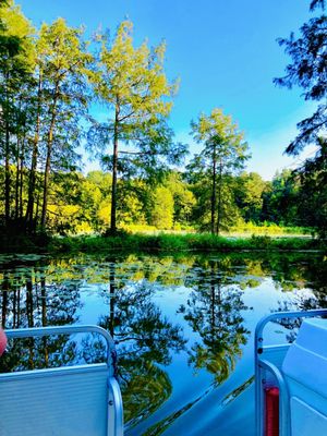 Trap Pond State Park