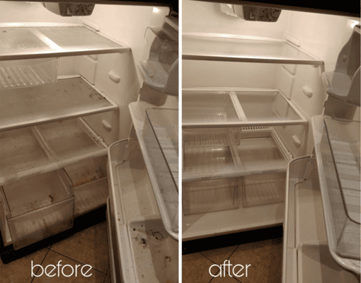 Before and after refrigerator cleaning