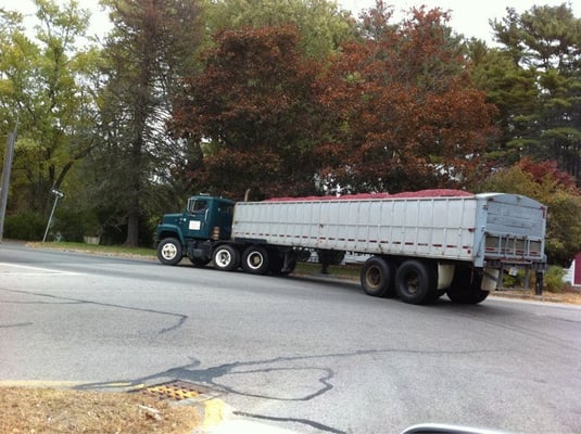 Truck filled with freshly harvested Cranberries.