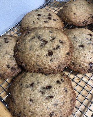 Chocolate Chip Cookies