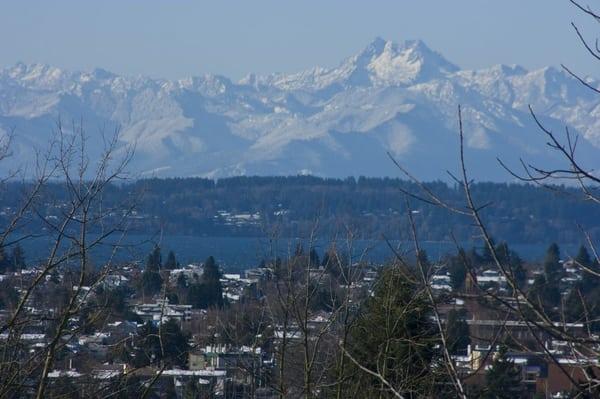 Scanning is done here, in North Seattle