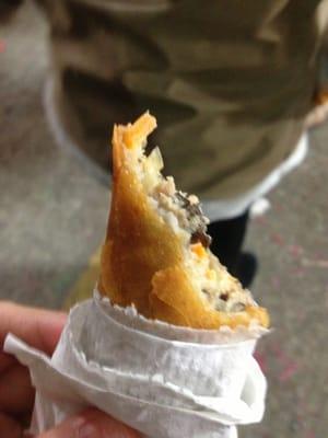 Eggroll filled with meat...