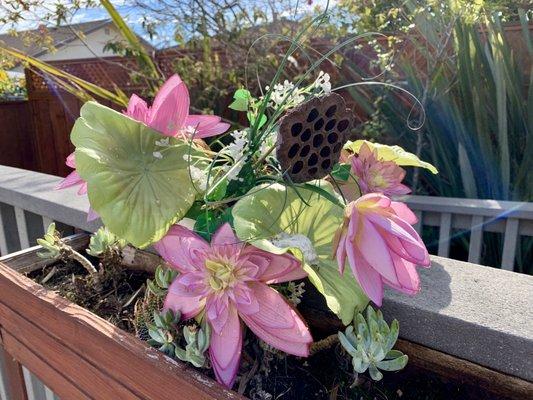 A lovely sunning deck in the backyard