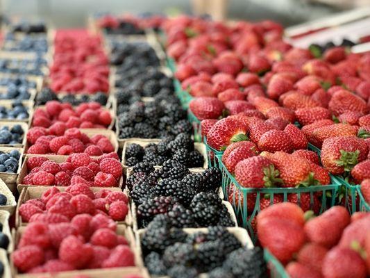 Fruit and vegetable stand