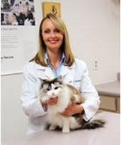 Cats and kittens receive the best of care at Lake Cable Animal Hospital in Canton, Ohio by Dr. Watters