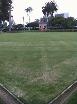 Another lawn bowling grass