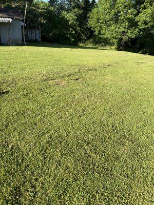 Lawn