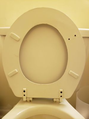 a broken toilet seat.