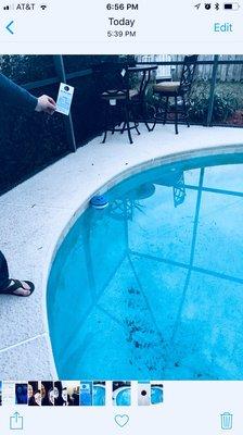 Crystal Clean Pool Service