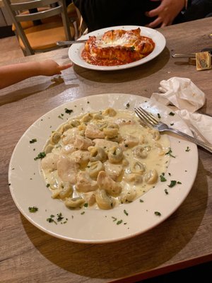 Tortellini Alfredo, Jumbo Stuffed Shells with Ricotta Cheese Filling!!! Amazing