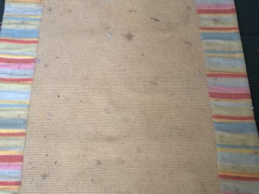 Carpet on back porch.