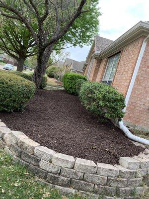 Mulch installation, and clean up