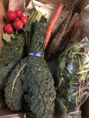 CSA petite farm box