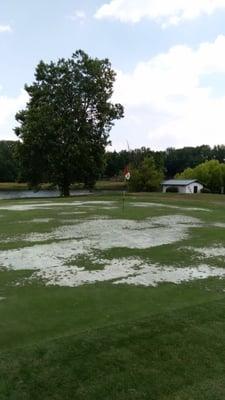 #9 Green.  It was 50+% sand