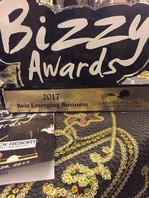 2017 Best Emerging Business Winner