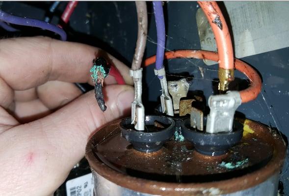 Replacing singed wiring