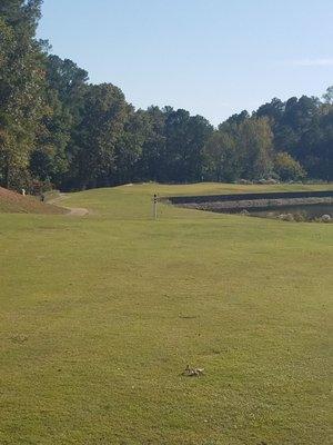 Fun day playing local course.