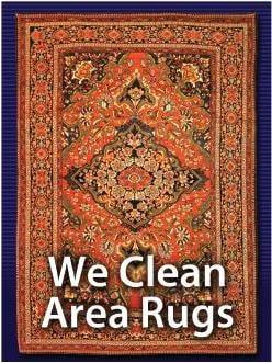 Your area rug or oriental rug will be cleaned thoroughly by our professional rug cleaners.  http://www.RugCleaningPa.com .