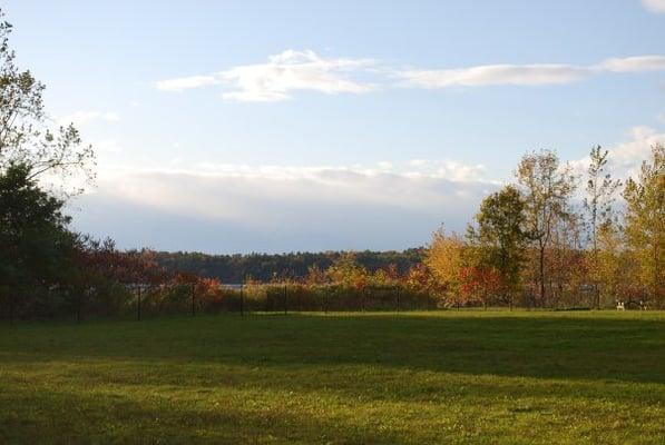 nice view of the park