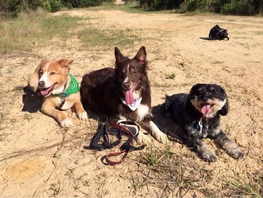 The boys, waiting fir their next trip to Dogs Day.