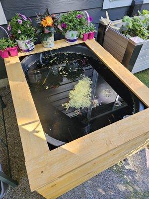 110 gallon water trough inside a cedar box. Saved a lot of money buying this sturdy trough at Tractor Supply.