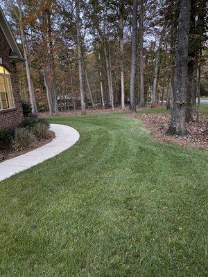 Corner of garage, sidewalk and landscaped front yard