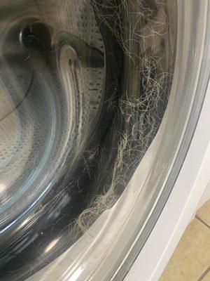 Disgusting Laundromat with dog hair!!