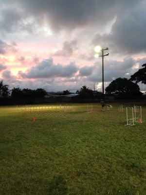 Sunset dog agility!