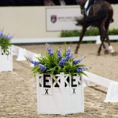 Sundance Dressage Arena with flower box