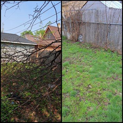 Tree cut down and yard work.