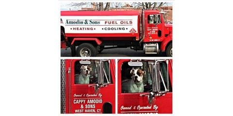 Amodio & Sons Fuel Oil Inc.