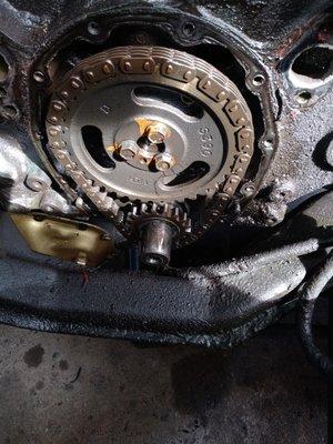 Timing chain hard for most easy for us