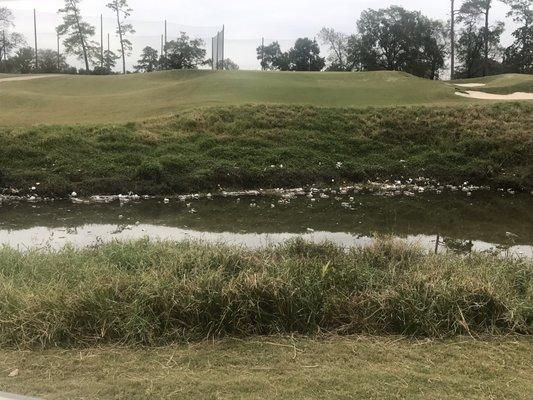 Pond inside Gus Wortham.