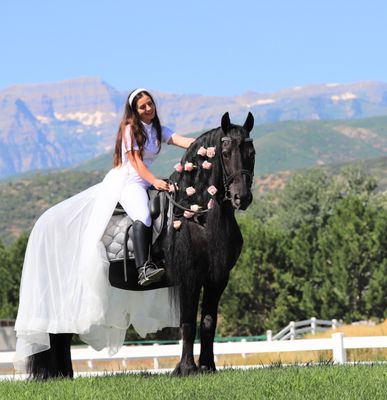 Sage Creek Equestrian