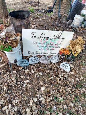 Memorial rocks for the 5 horses we lost to the electrical storm and fire.