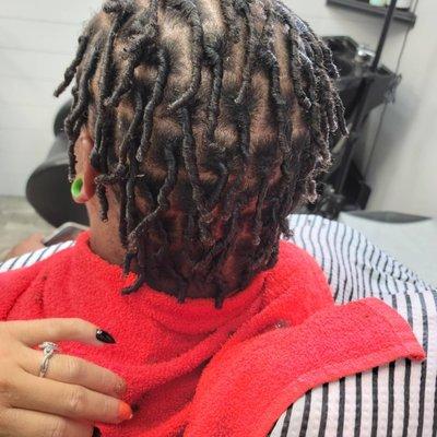 Fresh set if comb coils for starter locs