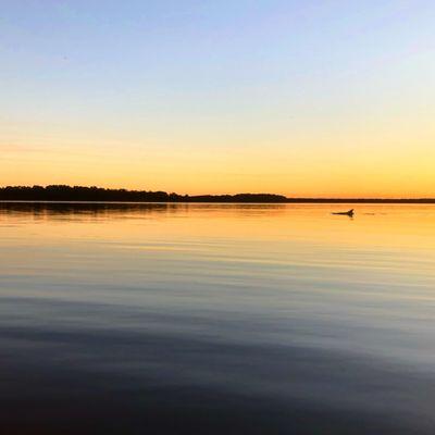 Sunsets and dolphins with Beaufort Dolphin Adventures.