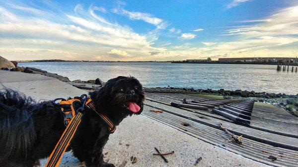 Jet! Enjoy a warm summer day by the water.