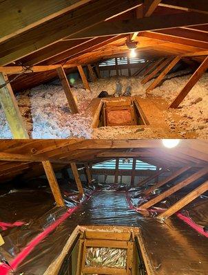 Before and after images of an Attic Wrap and Seal installation.