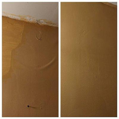 Painting/wall repairs