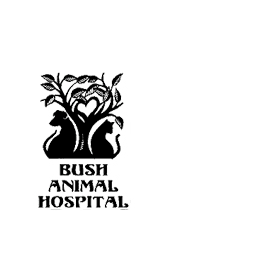 Bush Animal Hospital