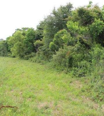 Great piece of property located in  residential area; also near schools, quaint shops and businesses.Lots of potential.