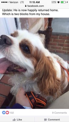 Alfie's Facebook mugshot. He was very pleased with himself.