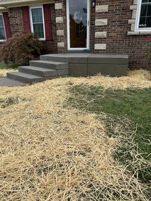 Front porch with steps